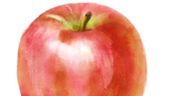 リアル水彩での練習 リンゴ