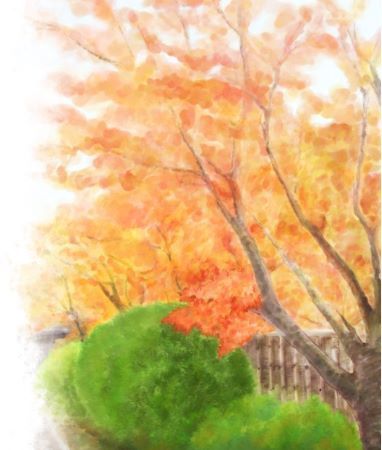 秋の風景 -Illustration-
