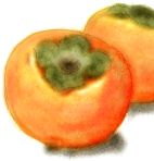 柿の絵