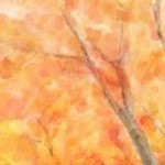 秋の風景 -Illustration-