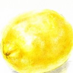 Painter 12 水彩練習 レモン（体験版使用中）